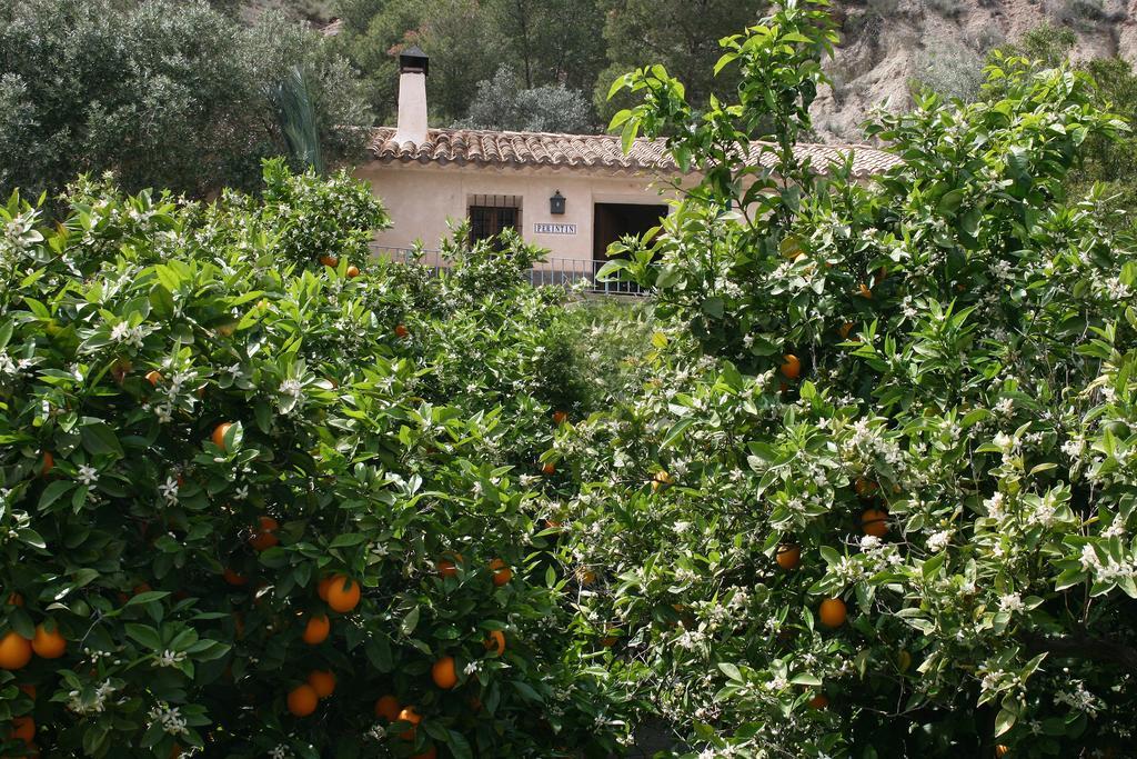 Casica De Perintin Cottage Ricote Zewnętrze zdjęcie